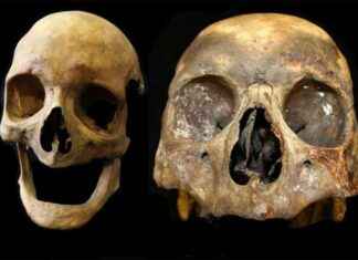 Uncovering the Long-Term Impact of Smoking: Archaeologists’ Discovery of ‘Significant’ Side-Effect news-20102024-103423