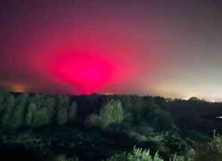 Disappointed Woman Mistakes Tomato Factory for Northern Lights news-24102024-233637