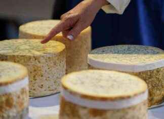 22-Ton Cheddar Heist: Cheese Stolen in Elaborate Scam news-26102024-000643