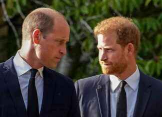 William’s Rare Tribute to Harry: Latest News and Updates news-29102024-124140