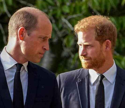 William’s Rare Tribute to Harry: Latest News and Updates news-29102024-124140
