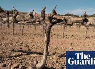 2023 Report: Record Heat-Related Deaths Linked to Climate Crisis news-30102024-062128