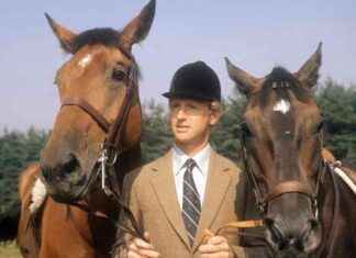 Appeal for Return of Stolen Gold Medals from Widow of British Olympic Legend news-07112024-160342