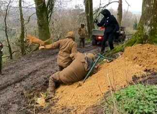 Fox Cub-Hunting Season Results in 9 Pets Killed and 22 Road Accidents news-10112024-042758