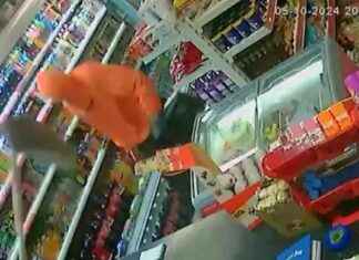 Brave Shopkeeper Confronts Knife-Wielding Robber with Mop news-11112024-144740