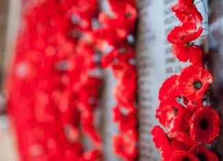 Remembrance Day: Minute’s Silence and Symbolism of Red Poppies news-11112024-144801