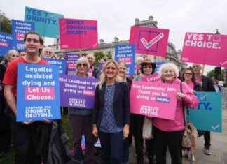 Legalising Assisted Dying for Terminally Ill: Understanding the New Bill news-12112024-025030