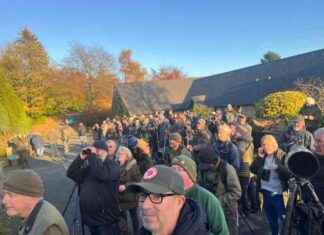 Rare Bird Spotted in Yorkshire Street Draws Crowds after Hurricane news-12112024-145320
