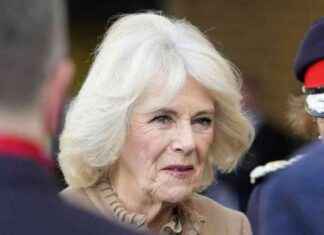 Queen Camilla’s Health Update: Palace Confirms Event Absence – Latest Update news-12112024-145341