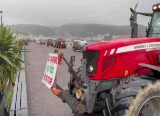 Farmers Protest Tax Increase with ‘Starmer Farmer Harmer’ Tractor Convoy news-17112024-123046