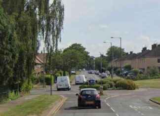 BMW driver sought by police after hit and run leaves child critical news-18112024-003312