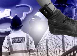 Ex-Offenders: Record Number Charged with New Crimes on Probation news-18112024-003333