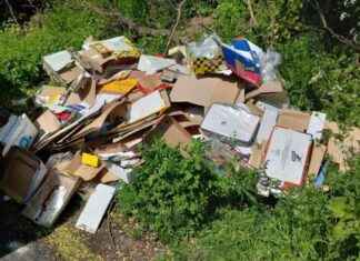 Weather-related challenges in recycling efforts: How to overcome packaging puddles news-19112024-123958