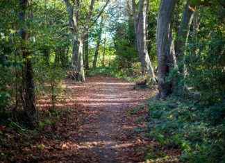 Boost for Leisure Sites in Hillingdon with £1.3m Funding news-25112024-223306