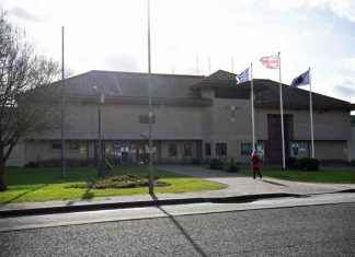 Prison Inmates Endure Rat and Spider Bites in England: A Revealing Look at Prison Conditions news-27112024-044615