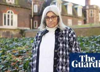 Pressing David Lammy to advocate for Egyptian political prisoner: British mother’s plea news-27112024-104719