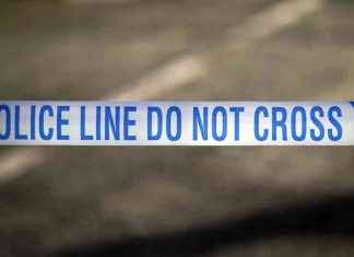 Police Arrest Six Suspects in Kurdistan Terror Group Probe news-27112024-164910