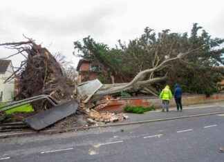Deadly Storm Darragh: 2 Killed by 100mph Winds deadly-storm-darragh-2-killed-by-100mph-winds