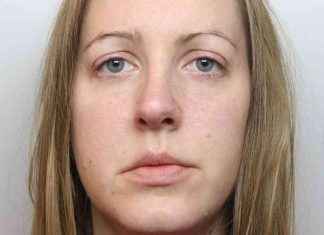 Lucy Letby Asserts Innocence Amidst Police Investigation into Baby Deaths lucy-letby-asserts-nnocence-amidst-police-nvestigation-into-baby-deaths
