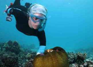 Preserving the World’s Oceans with a Paralympic Champion preserving-the-worlds-oceans-with-a-paralympic-champion