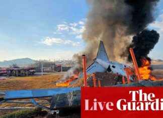 South Korea Plane Crash: Bird Strike Warning Issued Minutes Before Accident, 179 Dead south-korea-plane-crash-bird-strike-warning-ssued-minutes-before-accident-179-dead