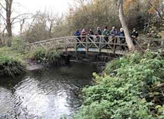 Spider Park River Project in Ruislip: New Year Revival and Progress spider-park-river-project-in-ruislip-new-year-revival-and-progress