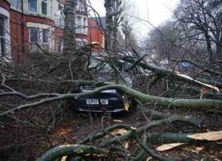 Storm Darragh: 96mph Winds Leave Two Dead, 170,000 Without Power storm-darragh-96mph-winds-leave-two-dead-170000-without-power