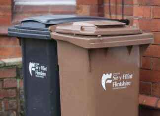 Top Tips to Reduce Festive Waste: ‘Tis the Season to Be Recycling top-tips-to-reduce-festive-waste-tis-the-season-to-be-recycling