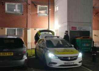 Woman charged for keeping fighting dog after fatal mauling woman-charged-for-keeping-fighting-dog-after-fatal-mauling