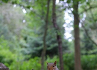 Copthorne Tara London Kensington: Why Stay In Kensington Matters