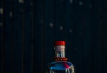 Gordons London Dry Gin: Discover The Secrets Behind Its Iconic Taste