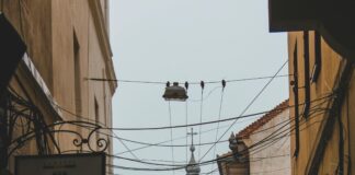 44 Old Church Street Chelsea London: Discover Its Hidden Historic Charm