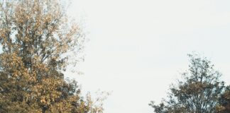 London To St James Park: Discover The Best Scenic Routes & Tips