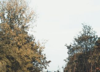 London To St James Park: Discover The Best Scenic Routes & Tips