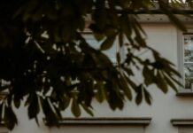 Vlm London Secrets Uncovered: Why Everyone Is Talking About It