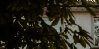 Vlm London Secrets Uncovered: Why Everyone Is Talking About It