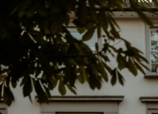 Vlm London Secrets Uncovered: Why Everyone Is Talking About It