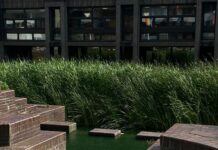 Golders Green London NW11: Discover Hidden Gems and Local Secrets