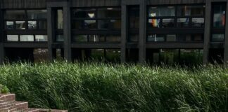 Golders Green London NW11: Discover Hidden Gems and Local Secrets