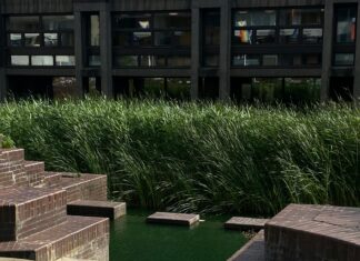 Golders Green London NW11: Discover Hidden Gems and Local Secrets