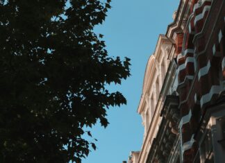 An Architect Fellowship In London: How To Unlock Unique Career Opportunities