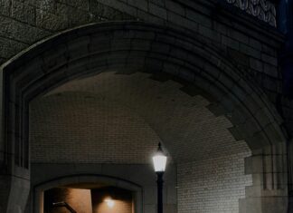 London Downs: Discover The Hidden Gems And Untold Secrets Today