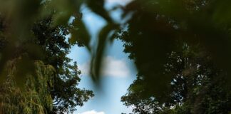 2514 London St: Discover Hidden Gems and Secrets of This Iconic Address