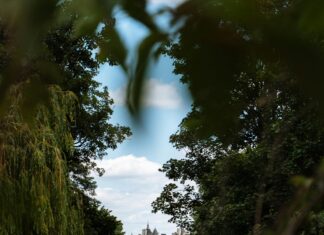 2514 London St: Discover Hidden Gems and Secrets of This Iconic Address