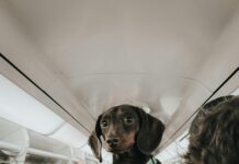 Glasgow To London Train: Discover The Ultimate Travel Experience