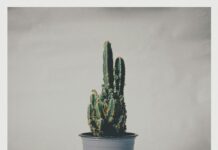 London Broil Instant Pot Recipes That Will Transform Your Dinner