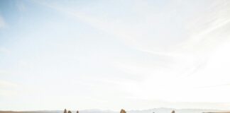 How Far Is Manchester From London? Discover The Surprising Distance