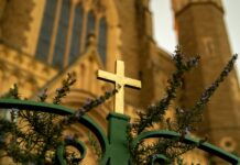 Queen Mary’s Rose Gardens London: Discover Stunning Blooms & Secrets