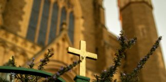 Queen Mary’s Rose Gardens London: Discover Stunning Blooms & Secrets