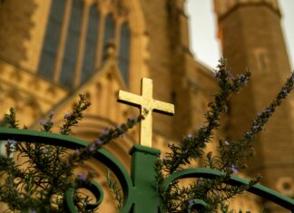Queen Mary’s Rose Gardens London: Discover Stunning Blooms & Secrets